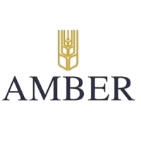 amber_srl_logo-removebg-preview